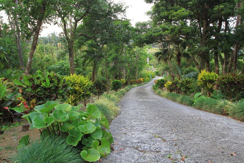 Aloha Hotel Nago Exterior foto